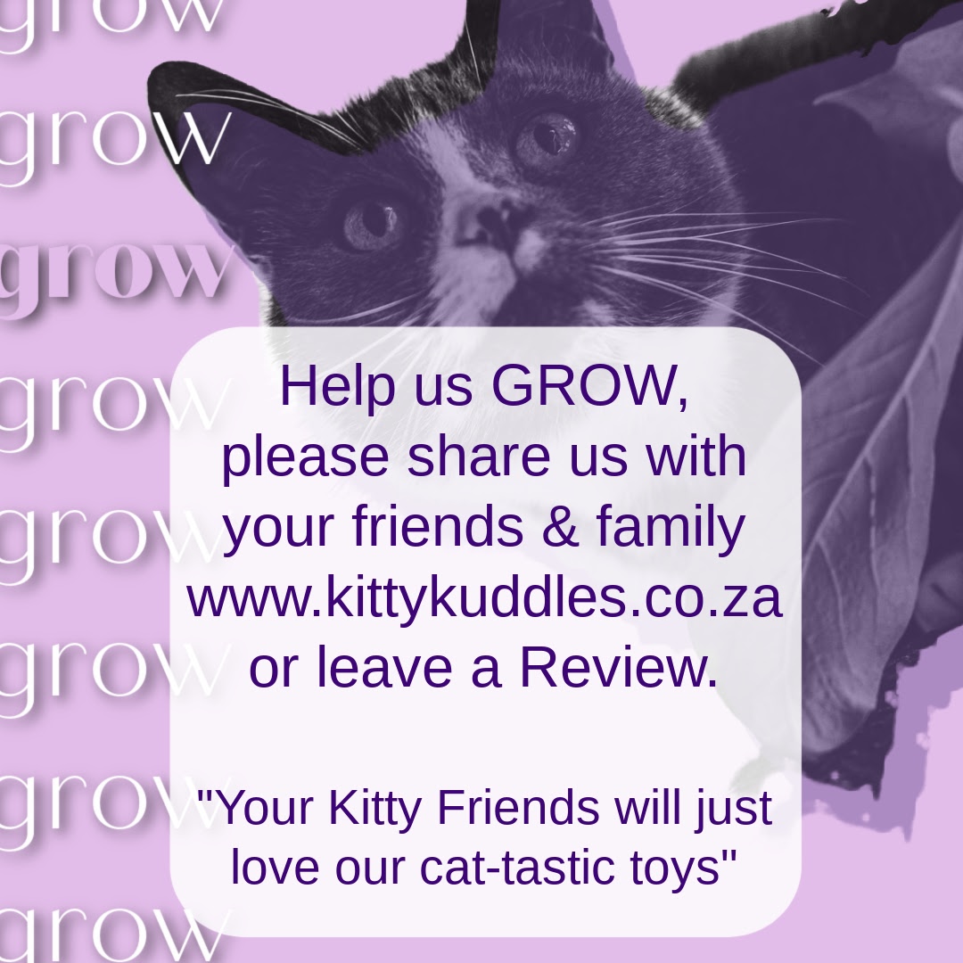 Kitty Kuddles AD leave a review