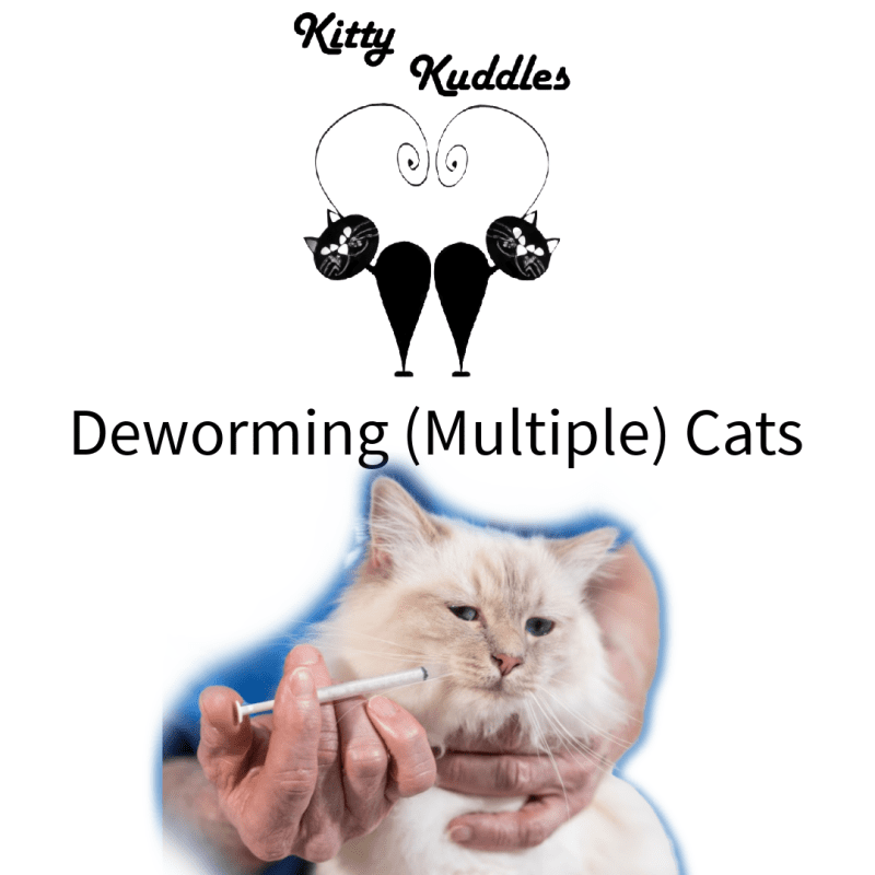 KK - blog deworming cats