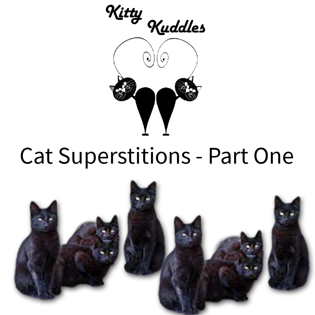 KK - Blog Cat Superstitions Part 1