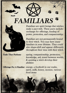 Cats as familiars