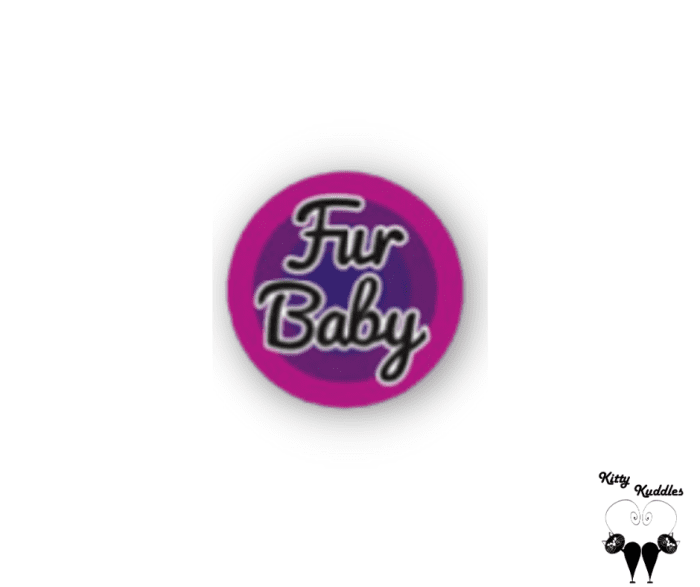 Fur baby pet ID tag