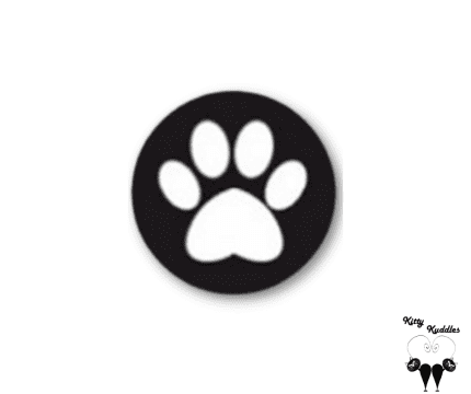 Black & White paw pet ID tag