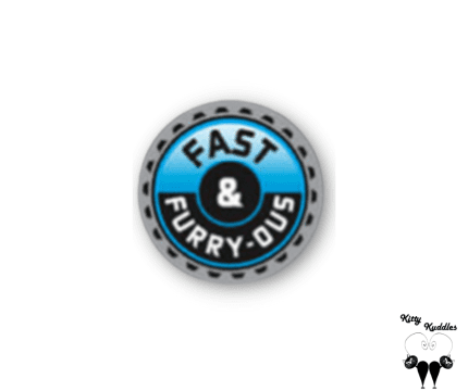 Fast & furry-ous pet ID tag
