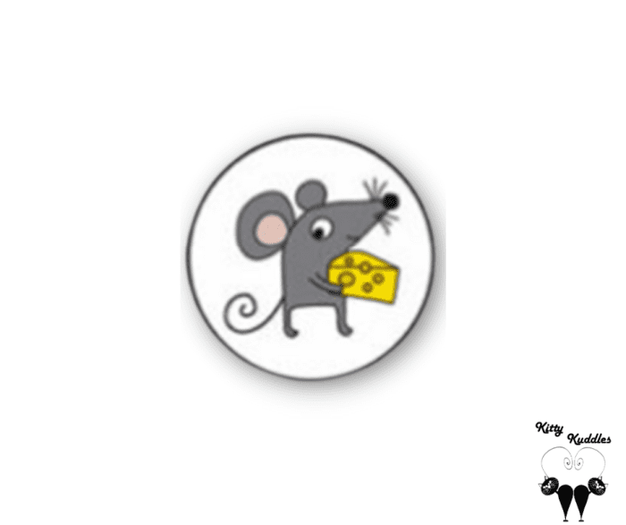 Mouse pet ID tag