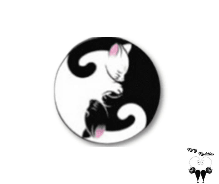 Ying Yang Cats pet ID tag
