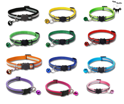 Various colors of reflective collars