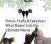 KK - Blog Fierce, Fluffy & Fabulous_ What Makes Cats the Ultimate Moms