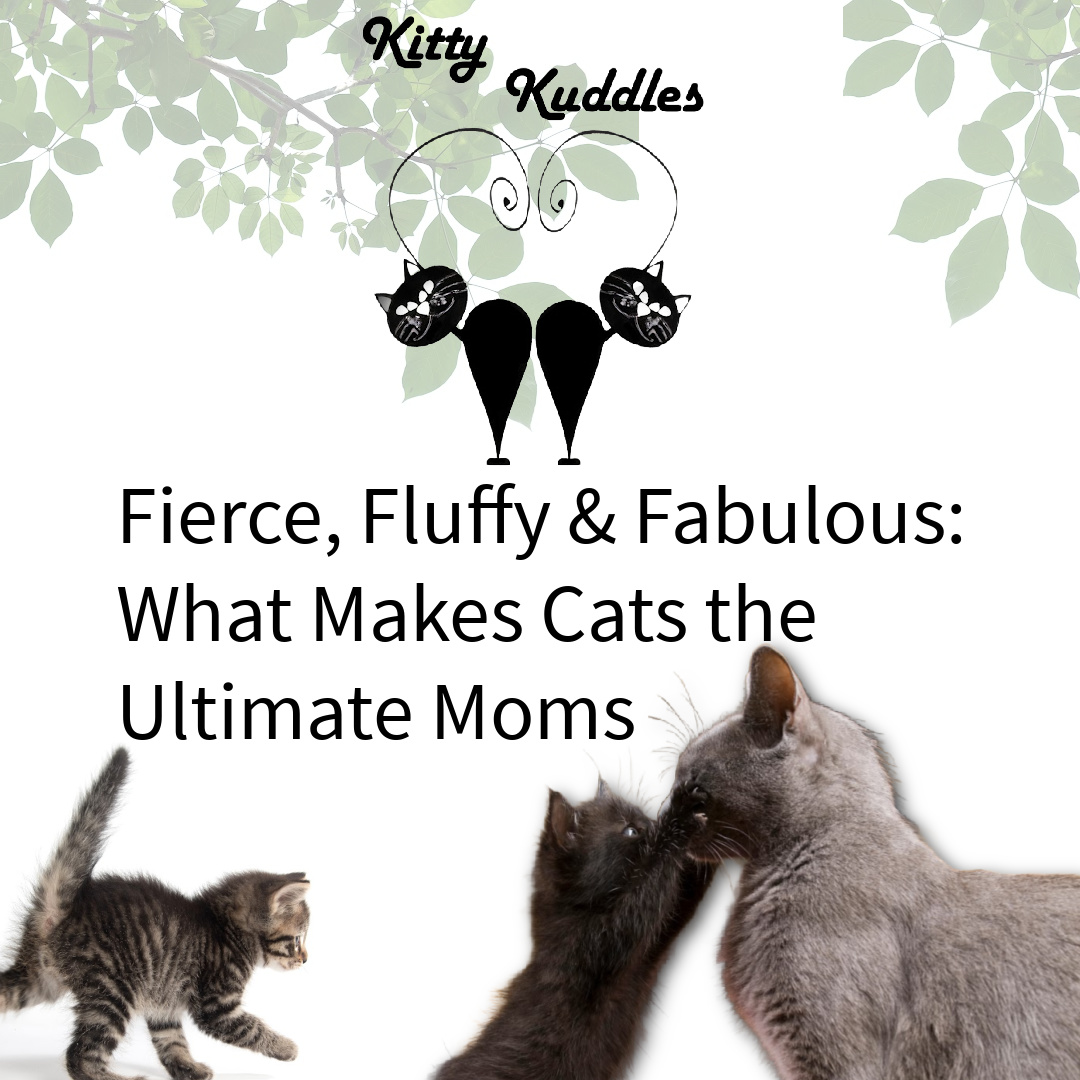 KK - Blog Fierce, Fluffy & Fabulous_ What Makes Cats the Ultimate Moms